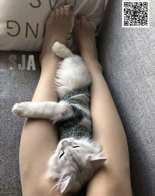 级无码v_4K免费播放